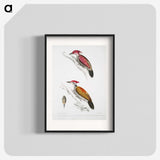 1-75_Indian-Zoology_blk