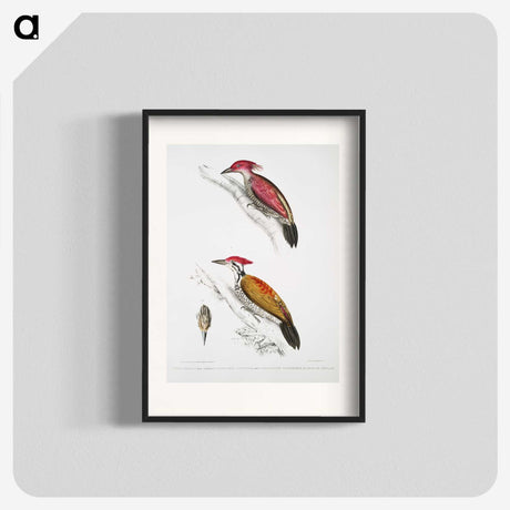 1-75_Indian-Zoology_blk