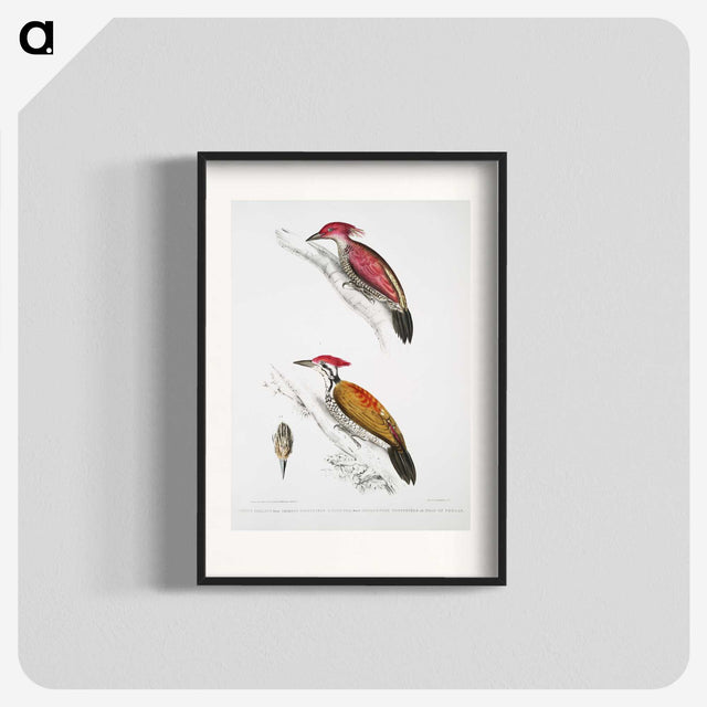 1-75_Indian-Zoology_blk