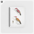 1-75_Indian-Zoology_memo