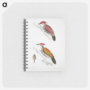 1-75_Indian-Zoology_memo