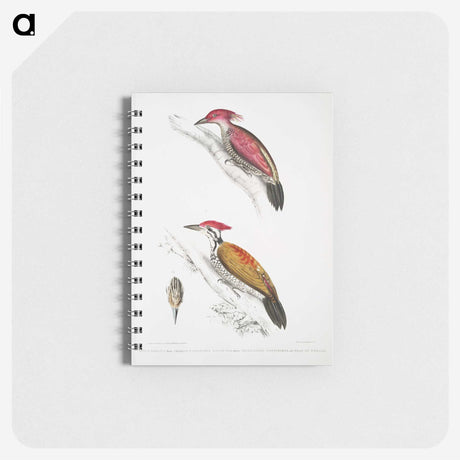 1-75_Indian-Zoology_memo