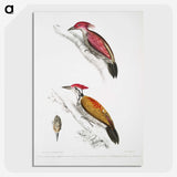 1-75_Indian-Zoology_picture-crop
