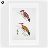 1-75_Indian-Zoology_picture