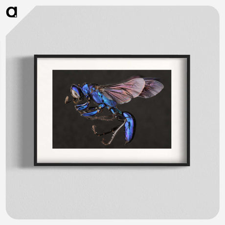 1-75_Insects-Unlocked-Project_blk