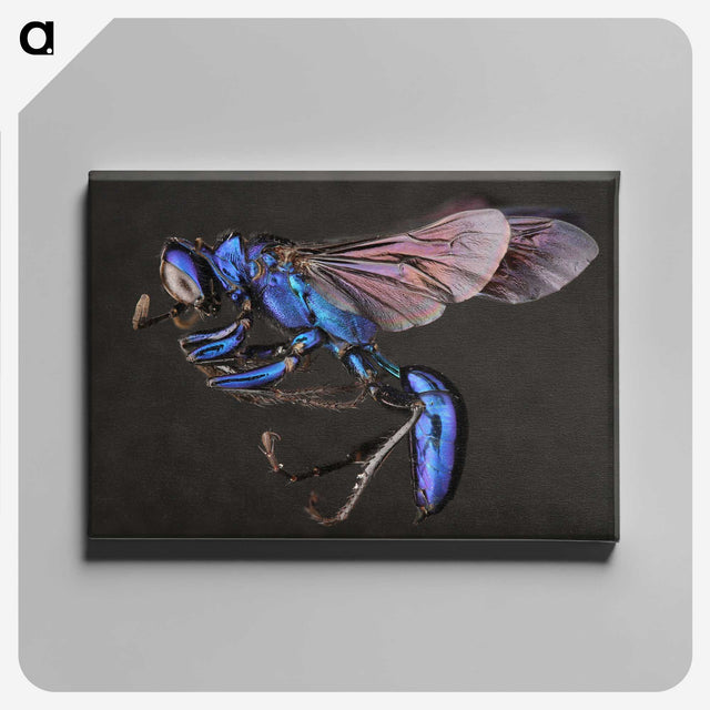 1-75_Insects-Unlocked-Project_canvas