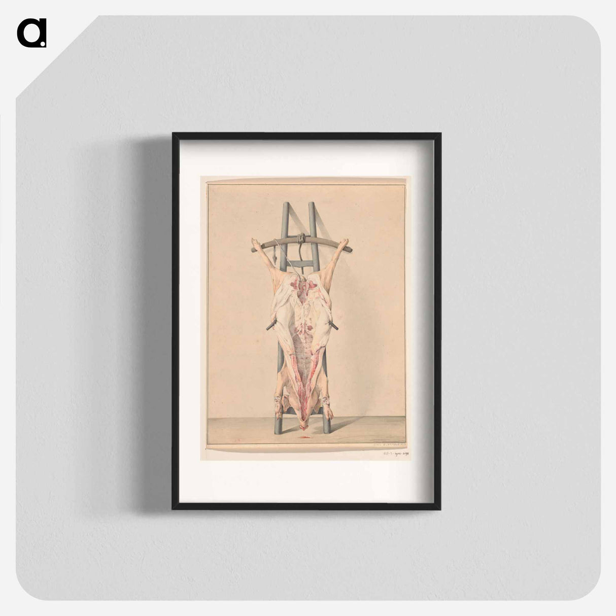 Geslacht varken - Jean Bernard Poster.