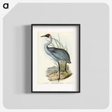1-75_John-Gould_blk