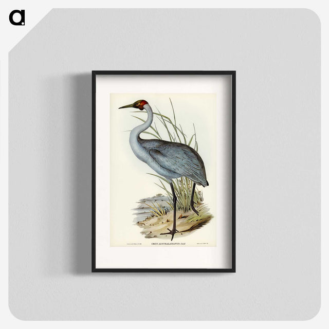 1-75_John-Gould_blk