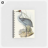 1-75_John-Gould_memo