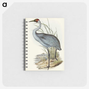 1-75_John-Gould_memo