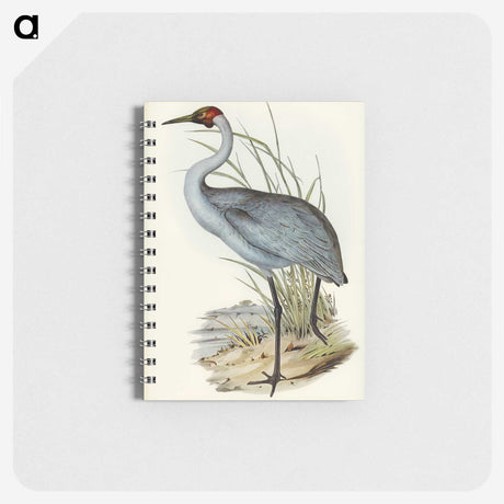 1-75_John-Gould_memo