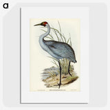 1-75_John-Gould_picture