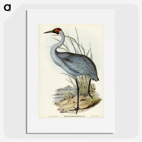 1-75_John-Gould_picture
