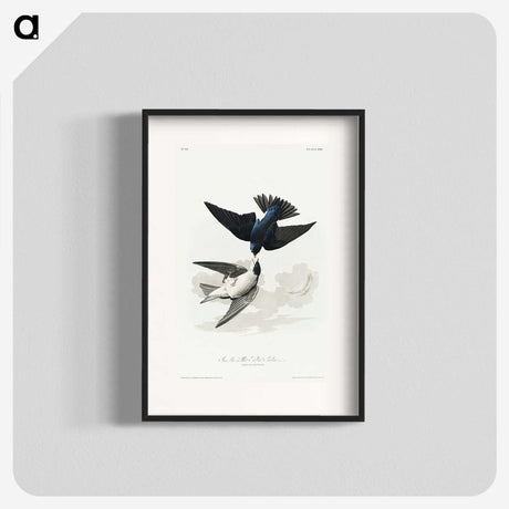 1-75_John-James-Audubon_blk