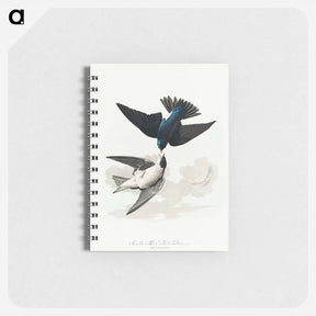 アートメモ帳-White-bellied Swallow
 - ジョン ジェームス オーデュボン Memo.