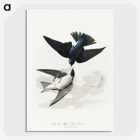 1-75_John-James-Audubon_picture-crop