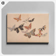 アートパネル-All Kinds of Butterflies, Vol. 1 - 神坂 雪佳 Canvas.