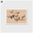 アートポストカード-All Kinds of Butterflies, Vol. 1 - 神坂 雪佳 Postcard.