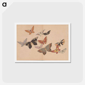 アートポストカード-All Kinds of Butterflies, Vol. 1 - 神坂 雪佳 Postcard.