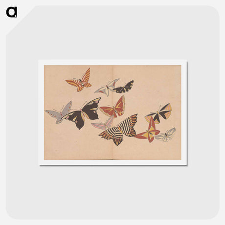 アートポストカード-All Kinds of Butterflies, Vol. 1 - 神坂 雪佳 Postcard.