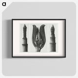 Equisetum Hiemale (Winter Horsetail) enlarged 10 times, Rhamnus Purshiana (Californian Bearberry) enlarged 25 times, and Equisetum Hiemale (Winter Horsetail) enlarged 10 times from Urformen der Kunst - Karl Blossfeldt Poster.