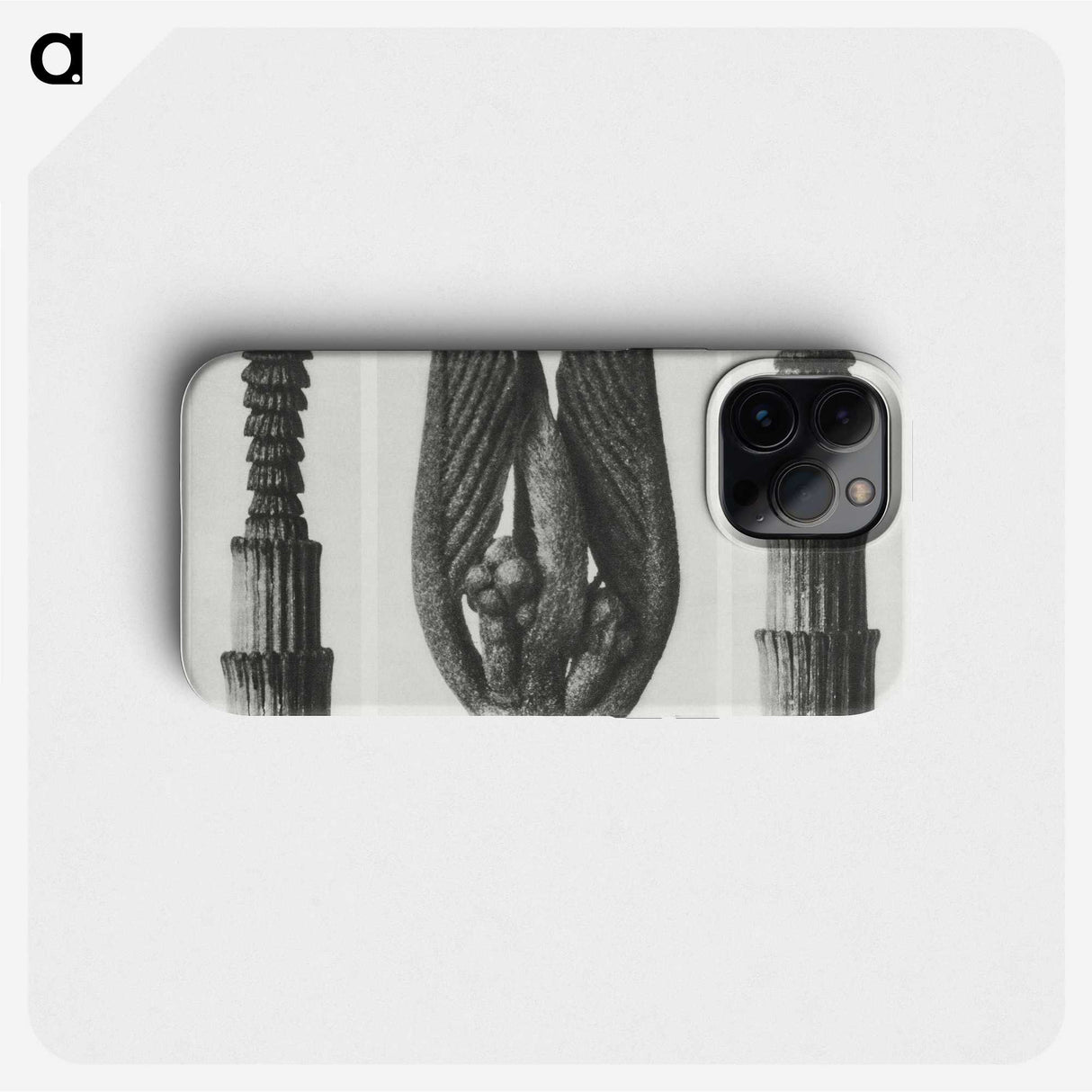 1-75_Karl-Blossfeldt_phone