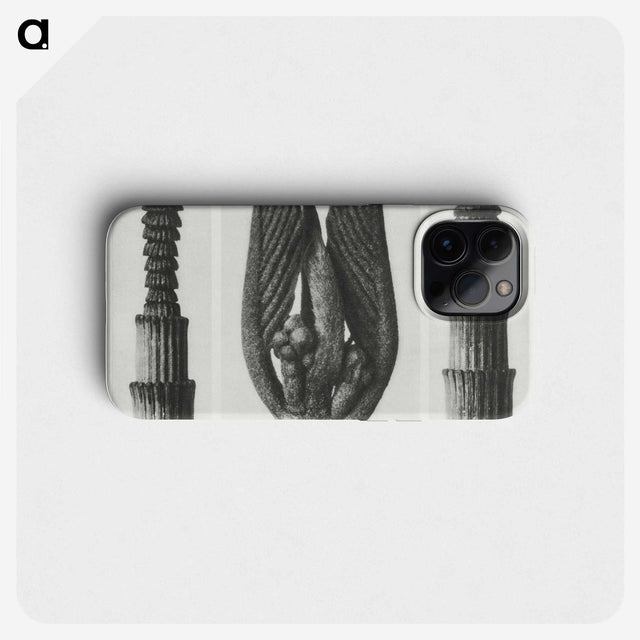 1-75_Karl-Blossfeldt_phone