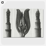 1-75_Karl-Blossfeldt_picture-crop