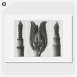 1-75_Karl-Blossfeldt_picture