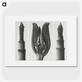 1-75_Karl-Blossfeldt_picture