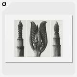アートポスター-Equisetum Hiemale (Winter Horsetail) enlarged 10 times, Rhamnus Purshiana (Californian Bearberry) enlarged 25 times, and Equisetum Hiemale (Winter Horsetail) enlarged 10 times from Urformen der Kunst - カール ブロスフェルト Poster.
