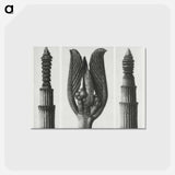 アートポストカード-Equisetum Hiemale (Winter Horsetail) enlarged 10 times, Rhamnus Purshiana (Californian Bearberry) enlarged 25 times, and Equisetum Hiemale (Winter Horsetail) enlarged 10 times from Urformen der Kunst - カール ブロスフェルト Postcard.