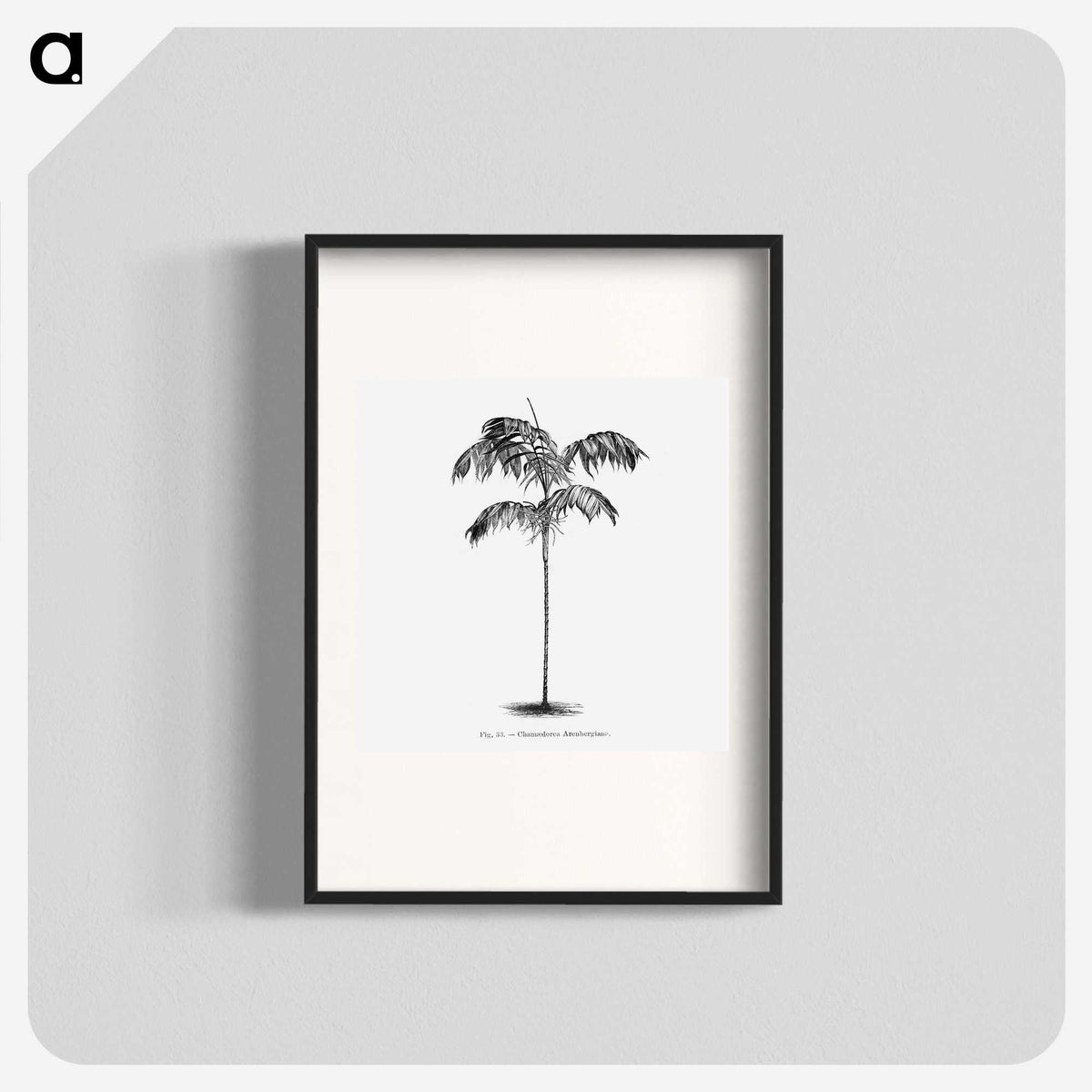 1-75_Les-Palmiers-Histoire-Iconographique_blk