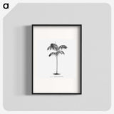 1-75_Les-Palmiers-Histoire-Iconographique_blk