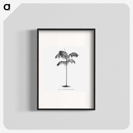 1-75_Les-Palmiers-Histoire-Iconographique_blk