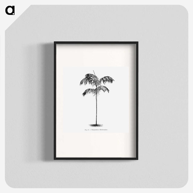 1-75_Les-Palmiers-Histoire-Iconographique_blk