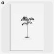 1-75_Les-Palmiers-Histoire-Iconographique_picture