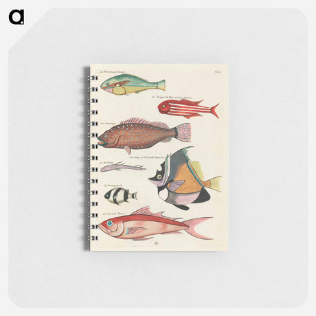 アートメモ帳-Moluccan Fishes
 - ルイ ルナール Memo.