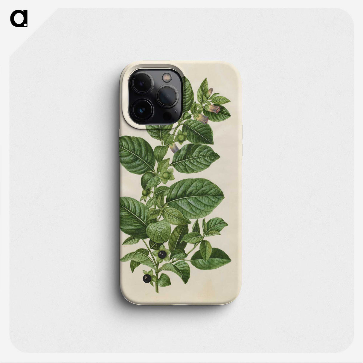 1-75_Maria-Sibylla-Merian_phone