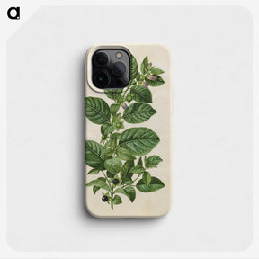1-75_Maria-Sibylla-Merian_phone