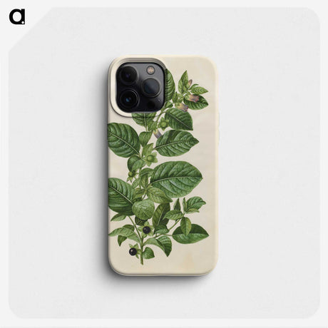 1-75_Maria-Sibylla-Merian_phone