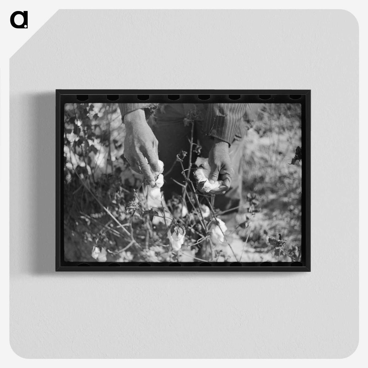 1-75_Marion-Post-Wolcott_blk-crop