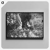 1-75_Marion-Post-Wolcott_canvas