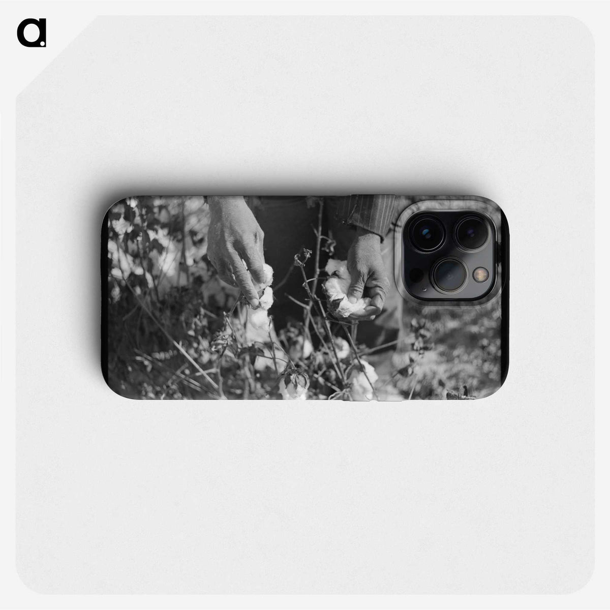1-75_Marion-Post-Wolcott_phone