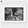 1-75_Marion-Post-Wolcott_picture