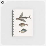 1-75_Mark-Catesby_memo