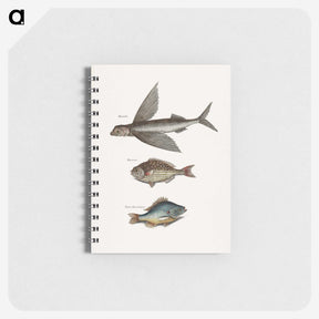 1-75_Mark-Catesby_memo