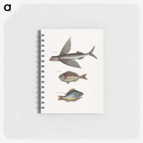 1-75_Mark-Catesby_memo