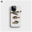 1-75_Mark-Catesby_phone